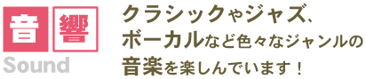 タイムドメインスピーカーで、音響 クラシックやジャズ、ボーカルなど色々なジャンルの音楽を楽しんでいます！